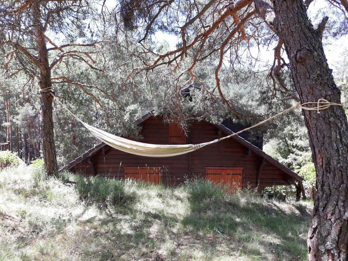 Canon Del Rio Lobos-La Cabana De Ton San Leonardo de Yagüe Exteriör bild